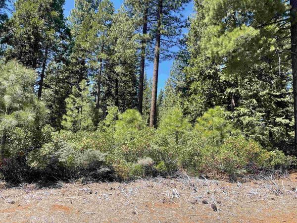 84 Fox Pine Drive, Lake Almanor, CA 96137