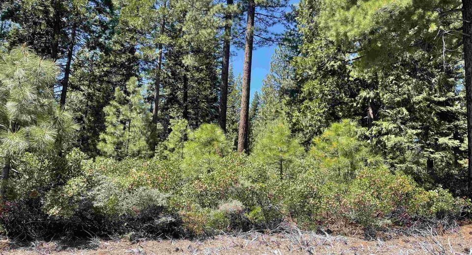 84 Fox Pine Drive, Lake Almanor, CA 96137 Photo