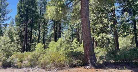 84 Fox Pine Drive, Lake Almanor, CA 96137 Photo