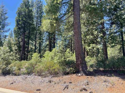 84 Fox Pine Drive, Lake Almanor, CA 96137 Photo