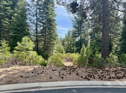 11 Silver Pine Road, Lake Almanor, CA 96137 Photo