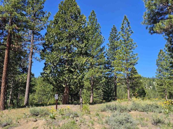 403 Big Grizzly, Portola, CA 00000