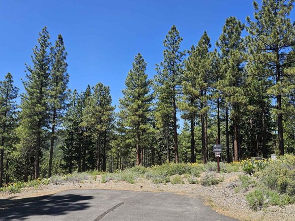 175 South Ridge Road, Portola, CA 00000