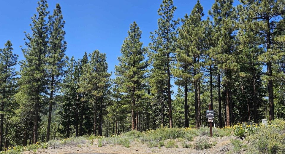 175 South Ridge Road, Portola, CA 00000 Photo