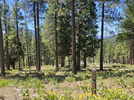 175 South Ridge Road, Portola, CA 00000 Photo