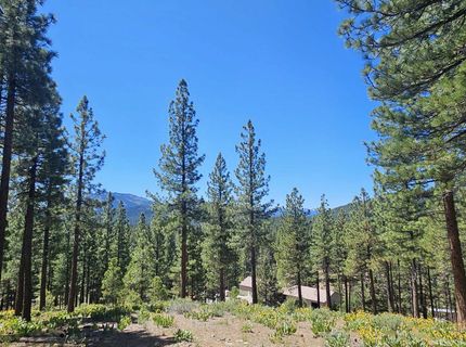 175 South Ridge Road, Portola, CA 00000 Photo