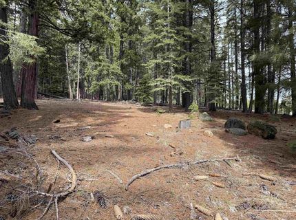 525 Peninsula Drive, Lake Almanor, CA 96137 Photo