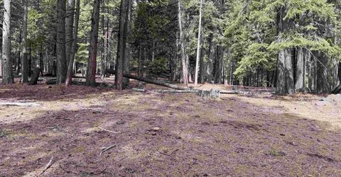 525 Peninsula Drive, Lake Almanor, CA 96137 Photo