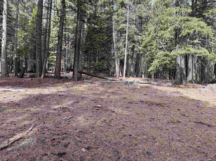 525 Peninsula Drive, Lake Almanor, CA 96137 Photo