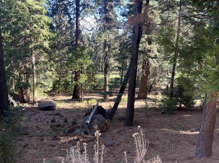 147 Slim Drive, Lake Almanor, CA 00000 Photo