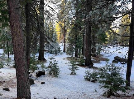 147 Slim Drive, Lake Almanor, CA 00000 Photo