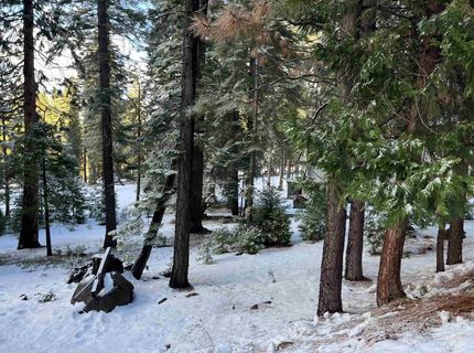 147 Slim Drive, Lake Almanor, CA 00000 Photo