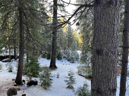 147 Slim Drive, Lake Almanor, CA 00000 Photo