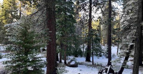 147 Slim Drive, Lake Almanor, CA 00000 Photo