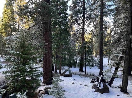 147 Slim Drive, Lake Almanor, CA 00000 Photo
