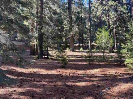 147 Slim Drive, Lake Almanor, CA 00000 Photo