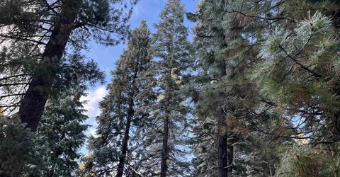 147 Slim Drive, Lake Almanor, CA 00000 Photo