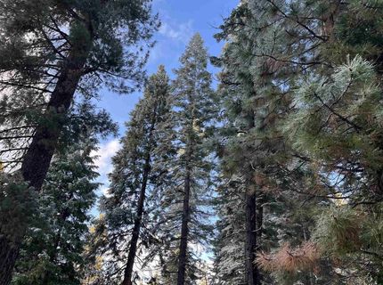147 Slim Drive, Lake Almanor, CA 00000 Photo