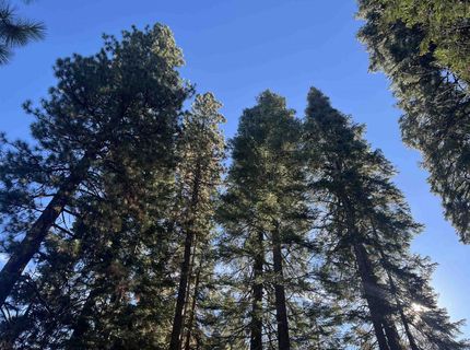 147 Slim Drive, Lake Almanor, CA 00000 Photo