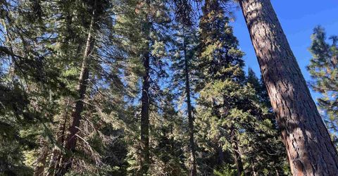 147 Slim Drive, Lake Almanor, CA 00000 Photo