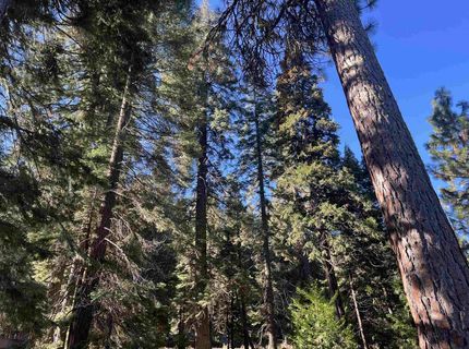 147 Slim Drive, Lake Almanor, CA 00000 Photo