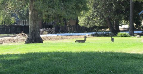 115 Lake Almanor West Drive, Chester, CA 96020 Photo