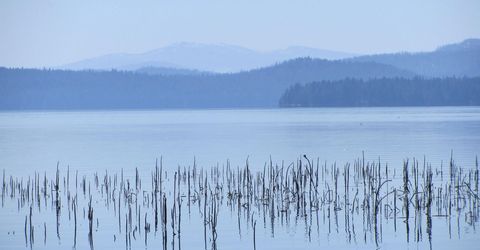 115 Lake Almanor West Drive, Chester, CA 96020 Photo