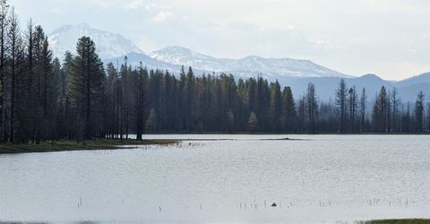 115 Lake Almanor West Drive, Chester, CA 96020 Photo