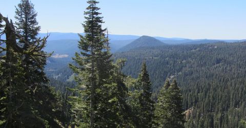 115 Lake Almanor West Drive, Chester, CA 96020 Photo