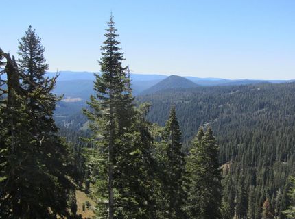 115 Lake Almanor West Drive, Chester, CA 96020 Photo