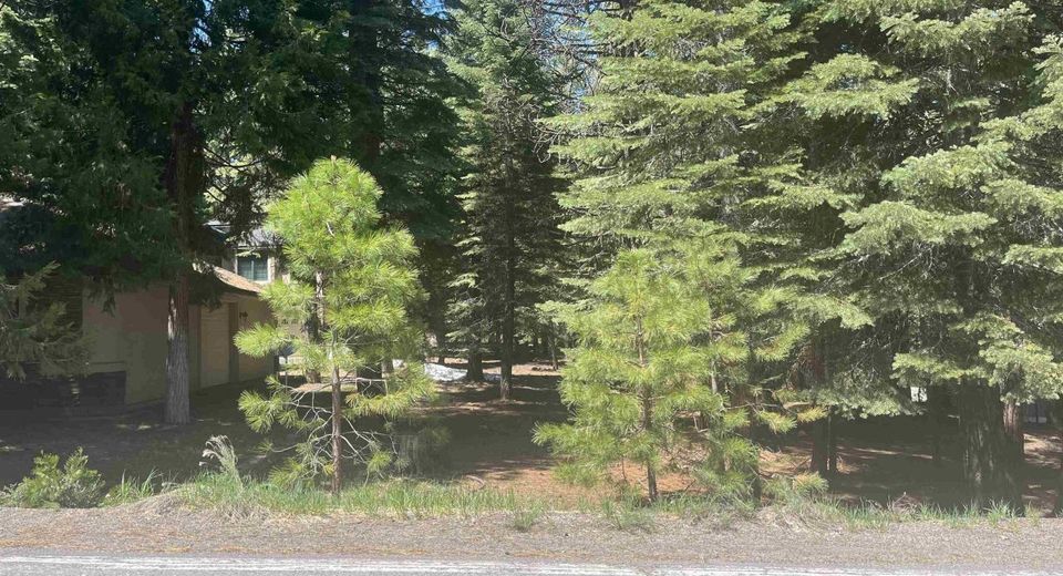 343 Osprey Loop, Lake Almanor, CA 00000 Photo