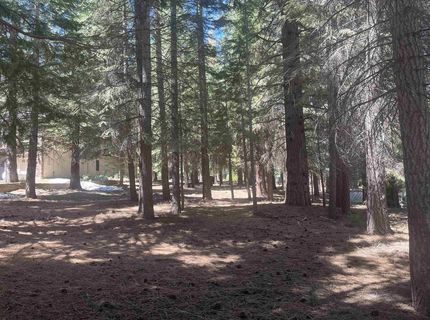 343 Osprey Loop, Lake Almanor, CA 00000 Photo