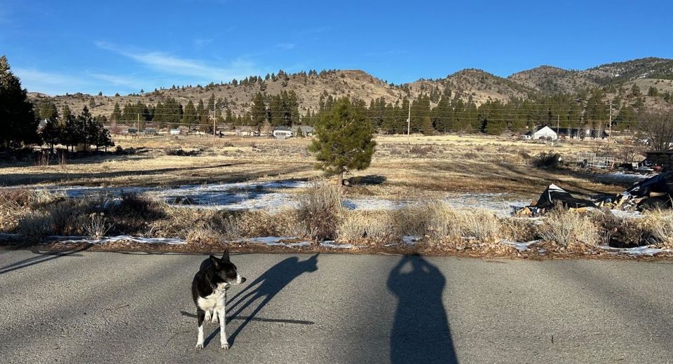 12 Wrangler Trail, Loyalton, CA 96118 Photo