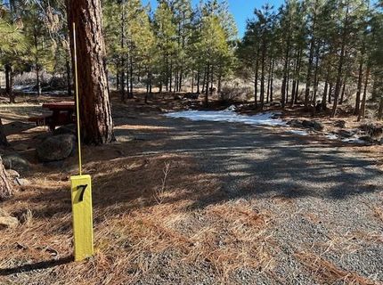 12 Wrangler Trail, Loyalton, CA 96118 Photo