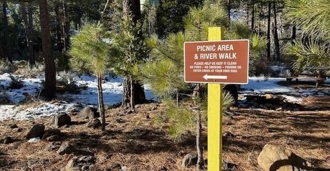 12 Wrangler Trail, Loyalton, CA 96118 Photo