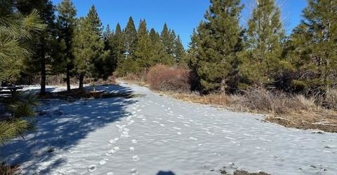 12 Wrangler Trail, Loyalton, CA 96118 Photo