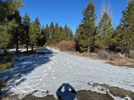 12 Wrangler Trail, Loyalton, CA 96118 Photo