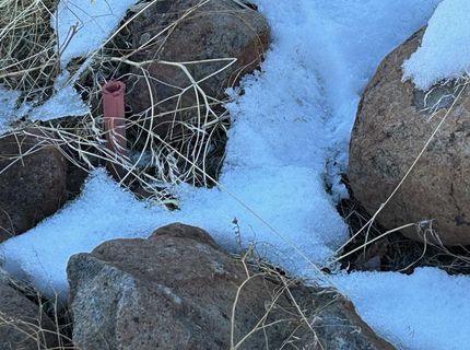 12 Wrangler Trail, Loyalton, CA 96118 Photo