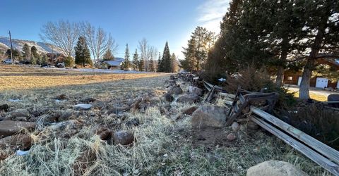 12 Wrangler Trail, Loyalton, CA 96118 Photo