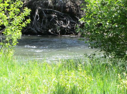 443 Feather River Drive, Chester, CA 96020 Photo