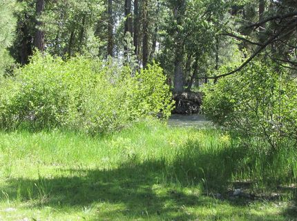 443 Feather River Drive, Chester, CA 96020 Photo