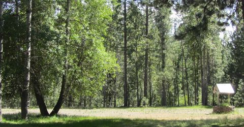 443 Feather River Drive, Chester, CA 96020 Photo