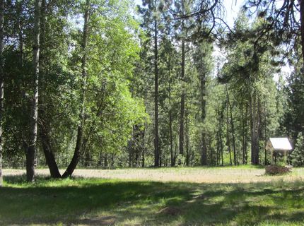 443 Feather River Drive, Chester, CA 96020 Photo
