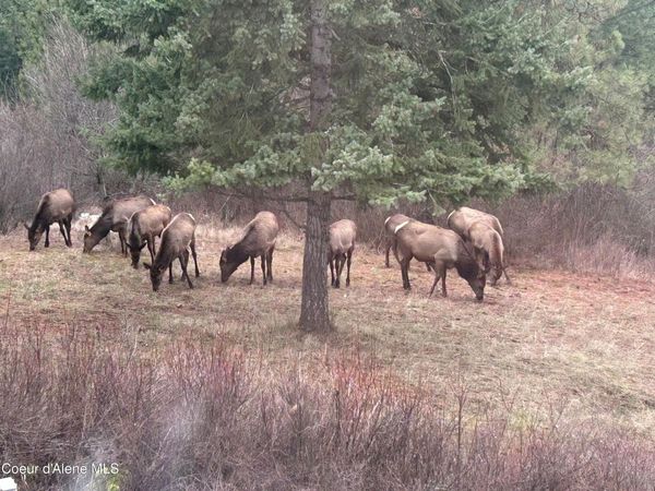 21160 N Corbin Hill Rd., Hayden, ID 83835