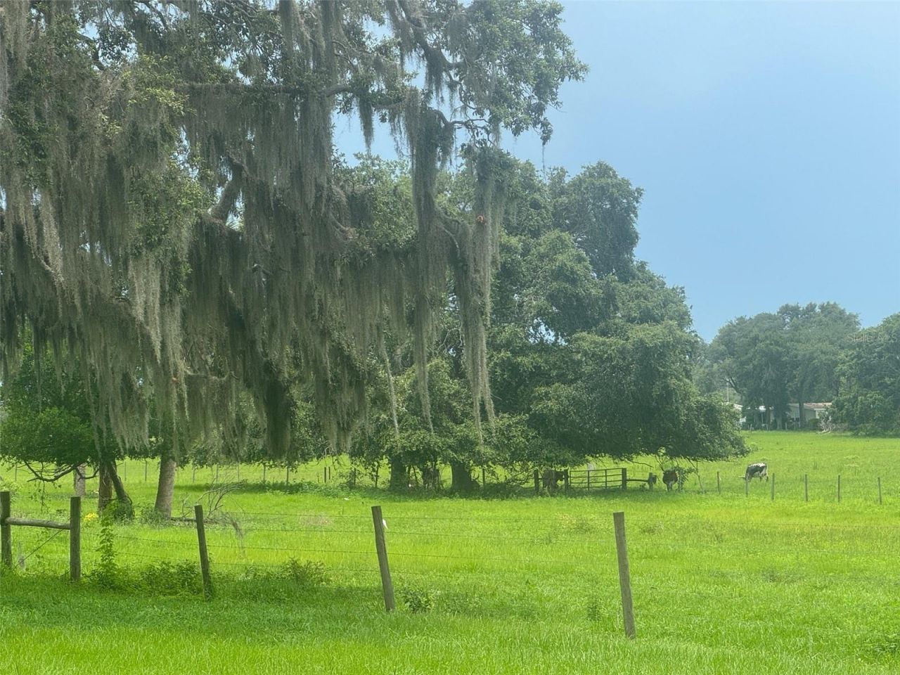 11522 Dead River Road, Tavares, FL 32778 Photo