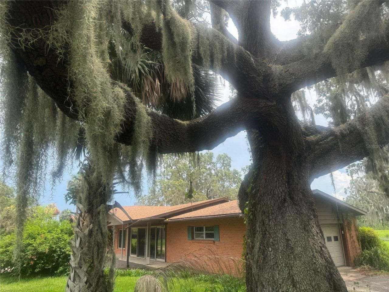 11522 Dead River Road, Tavares, FL 32778 Photo