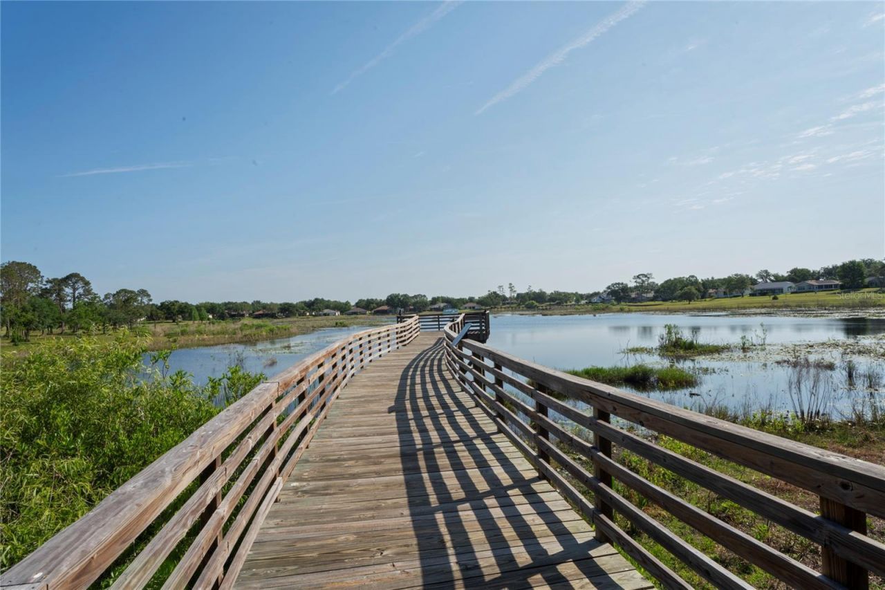 11412 Alden Court, Hudson, FL 34667 Photo