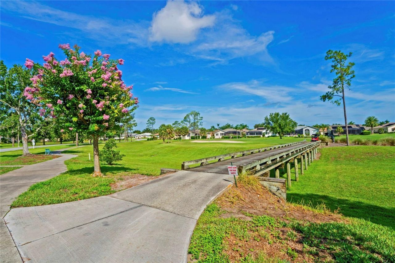 11412 Alden Court, Hudson, FL 34667 Photo