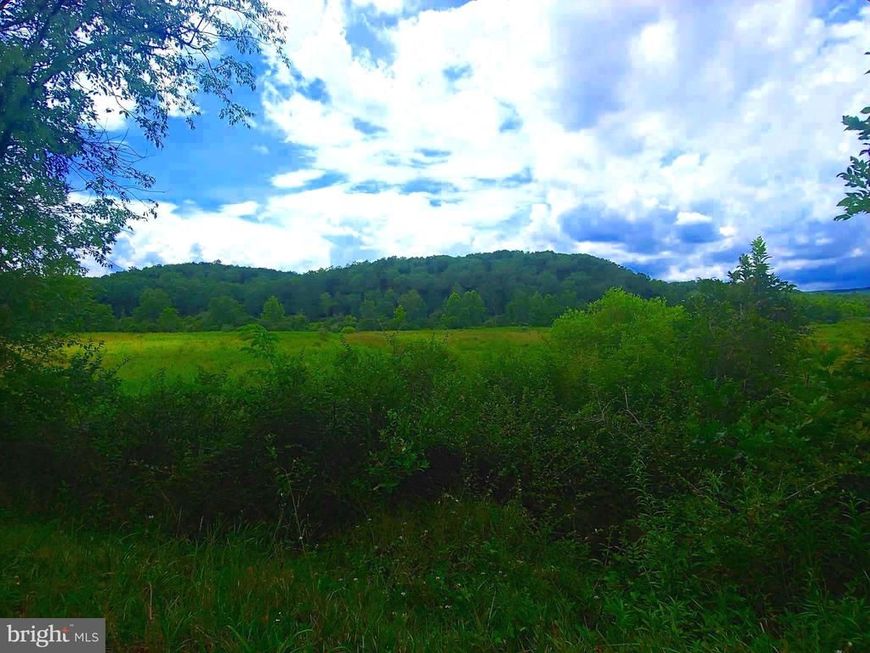 Bear Hill Road, Oldtown, MD 21555 Main Photo