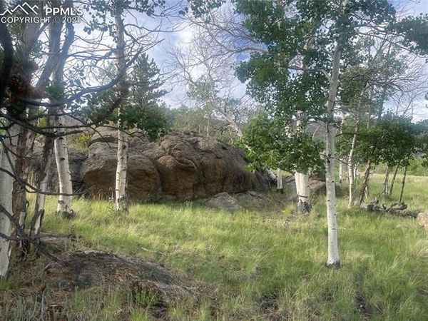 170 Emerald Way, Lake George, CO 80827